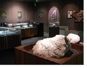 Photo: Meteorite Museum and Collection
